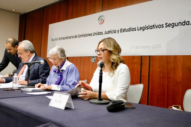 Se obligará a reparar el daño por delito de feminicidio: Lucía Meza