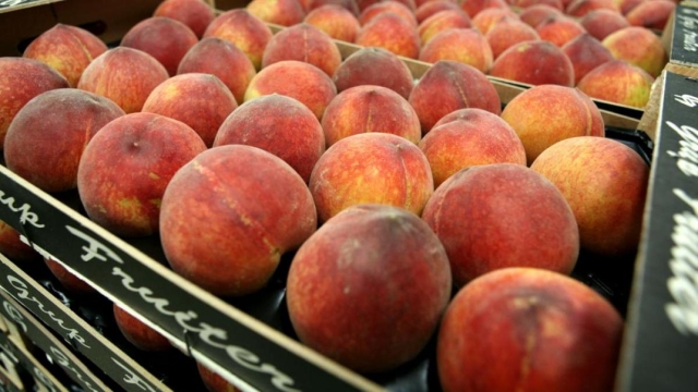 Alerta Cofepris por contaminación de frutas con bacteria listeria