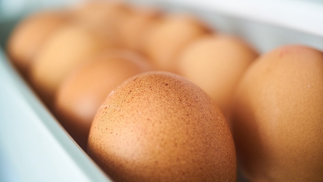 Por qué no debes guardar los huevos en la puerta del refrigerador y el tip para conservarlos frescose