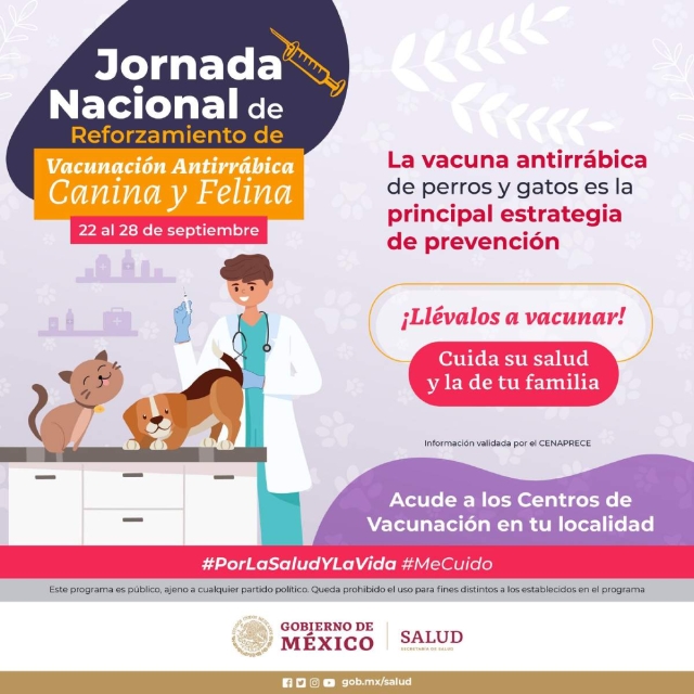 Refuerzan vacunación antirrábica a perros y gatos 