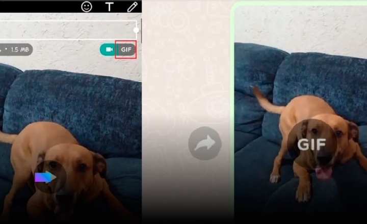 WhatsApp: Cómo crear y enviar GIFs animados a tus contactos