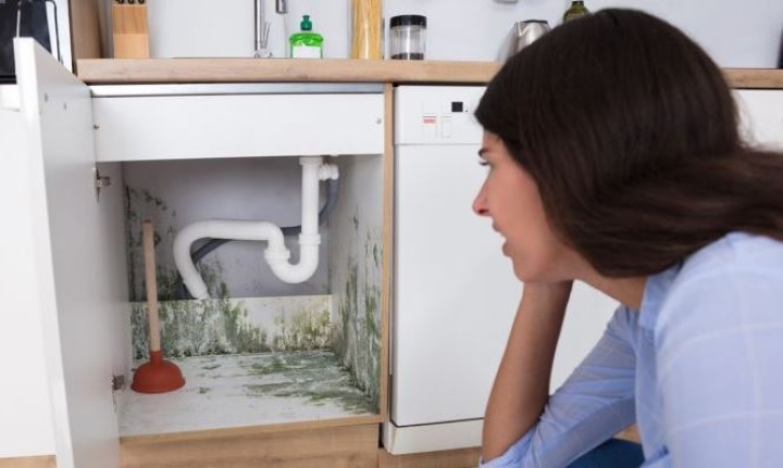 Elimina el moho y el mal olor por humedad del mueble debajo del fregadero
