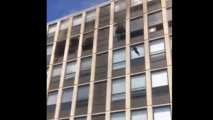 Gato se lanza de un quinto piso; el edificio estaba en llamas