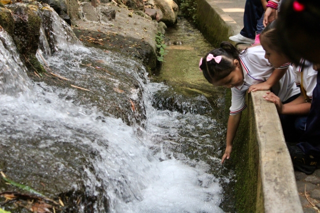 Celebran Día de la Niñez con educación ambiental en el parque Barranca Chapultepec