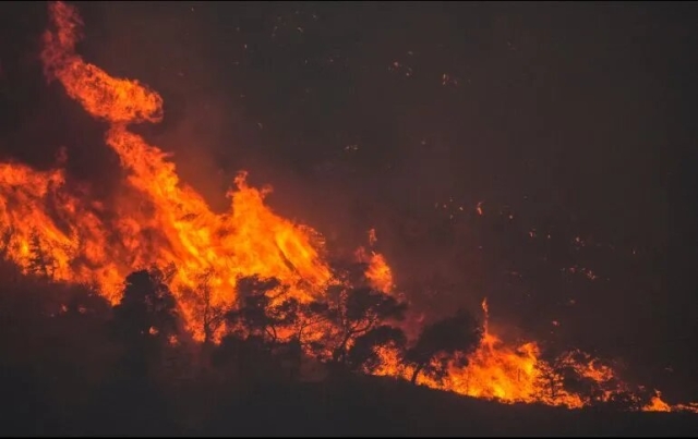Incendios forestales obligan a miles a huir de áreas cercanas a Atenas