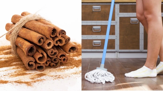 Cómo preparar aromatizante de canela casero para tus pisos
