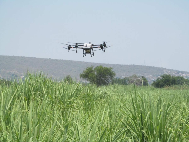   Este lunes hubo una demostración del dron, que fue adquirido la semana pasada para reducir tiempos y costos de la aplicación de fertilizante a los cultivos en el municipio de Jojutla.