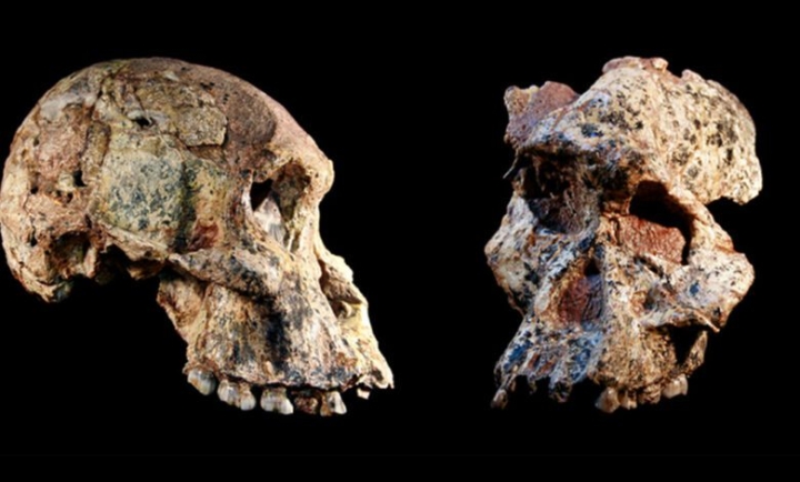 Restos de australopithecus hallados en una cueva son casi 1 millón de años más antiguos