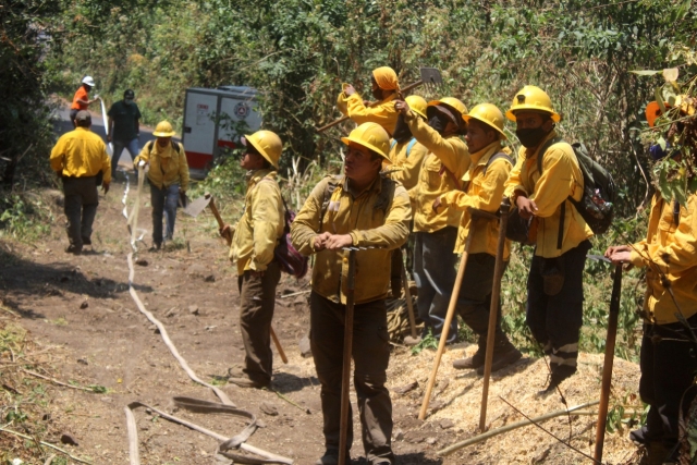 Se atendieron de manera oportuna los incendios forestales en Morelos: SDS