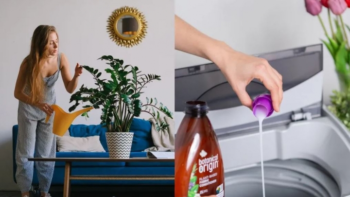 ¿Qué pasa si riegas tus plantas con agua jabonosa de la lavadora, trastes o trapeador?