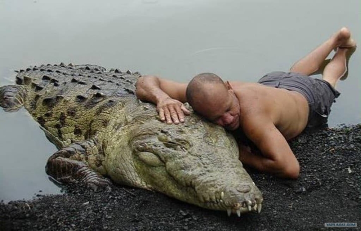 Rescató a un cocodrilo y lo adoptó como su mascota.