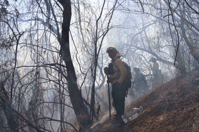 100% de control y 80% de liquidación en incendio forestal en Tepoztlán