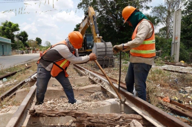 Abren vacantes para trabajar en el Tren Maya; ofrecen hasta 25 mil pesos