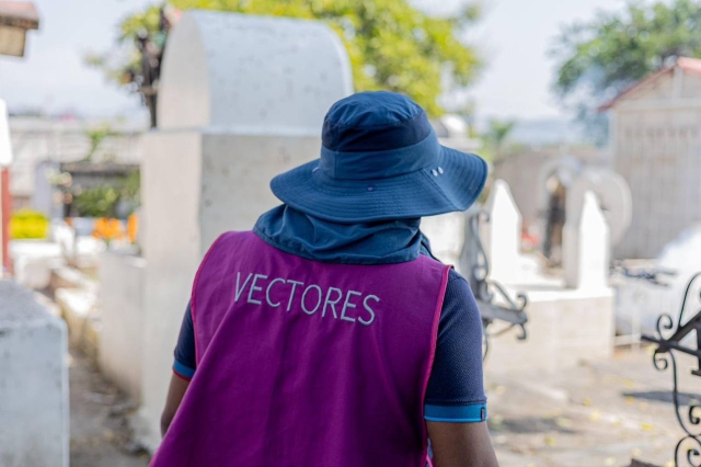 Operativos contra dengue, zika y chikungunya continúan en Temixco