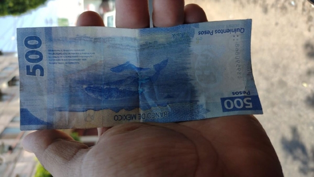 Pequeños empresarios son engañados con billetes falsos de 200, 500 y mil pesos. 