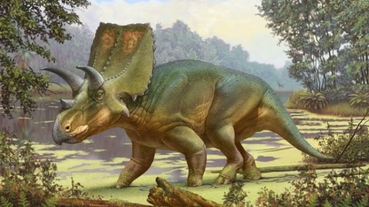 El dinosaurio cornudo de Ted Turner es una nueva especie
