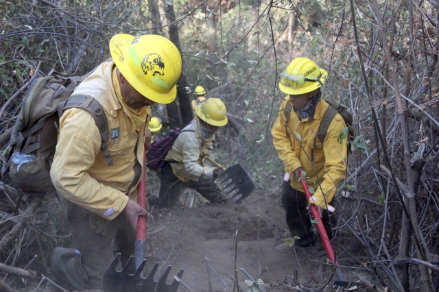 Liquidado al 100% incendio forestal en paraje &#039;El Alambrado&#039;, en Cuernavaca