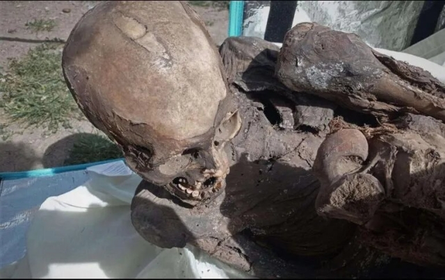 Hallan una momia prehispánica en mochila de repartidor de &#039;delivery&#039; en Perú