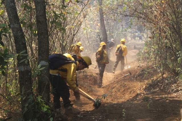 Brigadistas atienden incendio forestal en paraje &#039;Quinta piedra&#039; en Tepoztlán