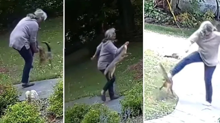 Mujer de 61 años lucha contra un zorro rabioso en su patio