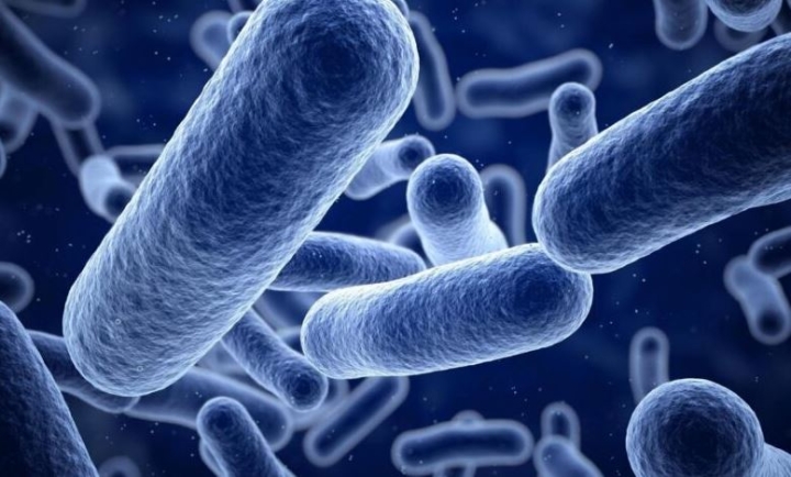 Científicos descubren compuesto que vencería a las bacterias resistentes en hospitales