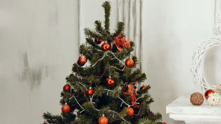 Cuándo se pone el árbol de Navidad, según la tradición