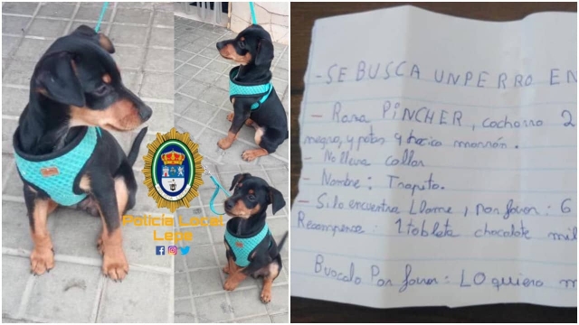 Niño ofrece una barra de chocolate a quien encuentre a su perrito.