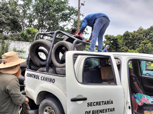 Atienden reportes para control y mitigación del dengue en Temixco