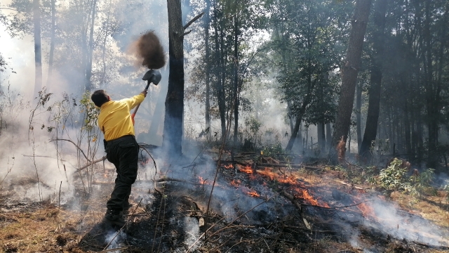 Activos en Morelos cuatro incendios forestales