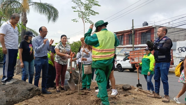Avanza reforestación urbana en Cuernavaca