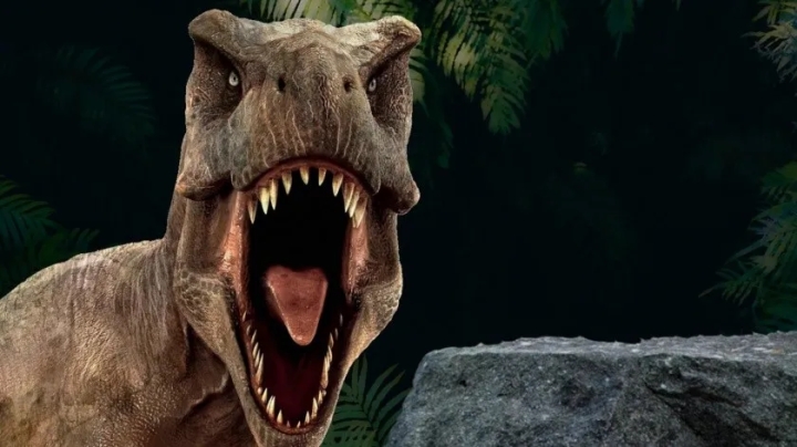 Google: descubre cómo ver dinosaurios en 3D