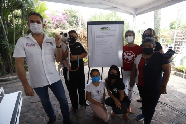 Firma Jorge Argüelles compromiso con asociaciones civiles para proteger la vida animal