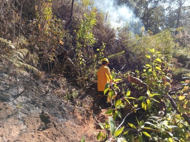 Controlado y liquidado incendio forestal en paraje &#039;La capilla&#039;: CEECA