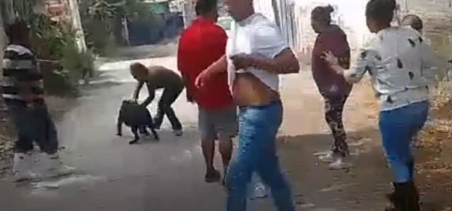 Varias personas intentaron quitarle el perro a la menor.