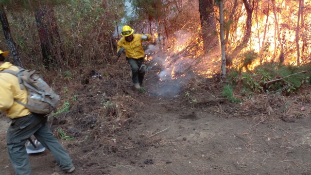En Morelos se mantienen activos cuatro incendios forestales: EEMI