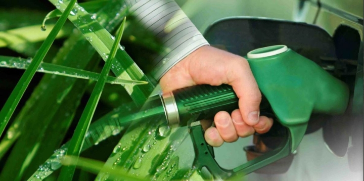 Bioetanol + gasolina, un combustible alterno para autos