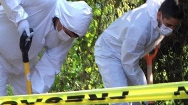 Identifican a 7 de 12 cuerpos hallados en una fosa clandestina en Uruapan