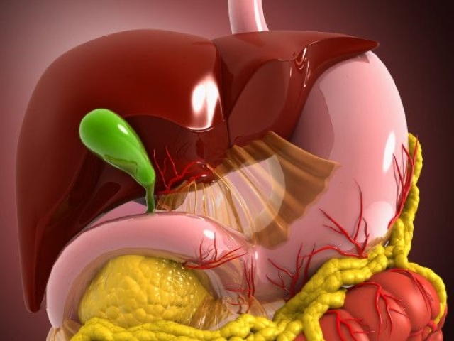 Alternativa natural para tratar el hígado graso respaldada por Harvard