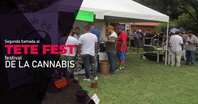 Los organizadores confían en que Tetecala será un “pueblo cannábico”, único en el país y Latinoamérica, y pretenden que sea el segundo lugar más visitado del mundo (sólo por debajo de Amsterdan) en cuestiones de marihuana legal.