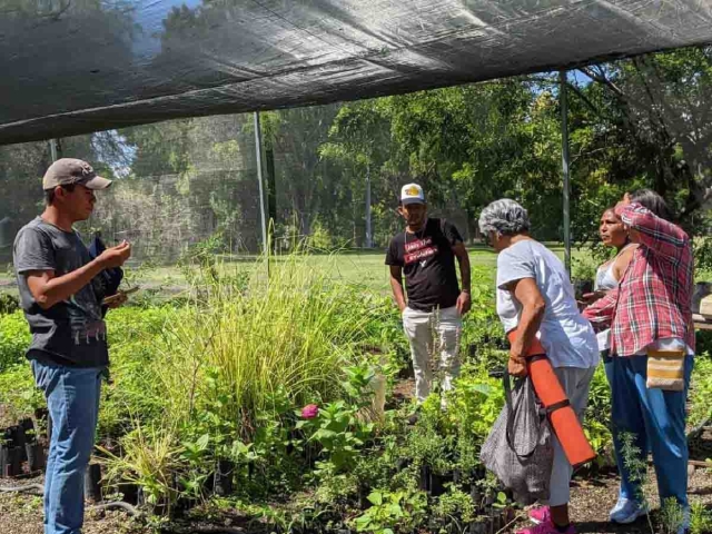 Familias recibieron los ejemplares para su plantación y posterior cuidado.