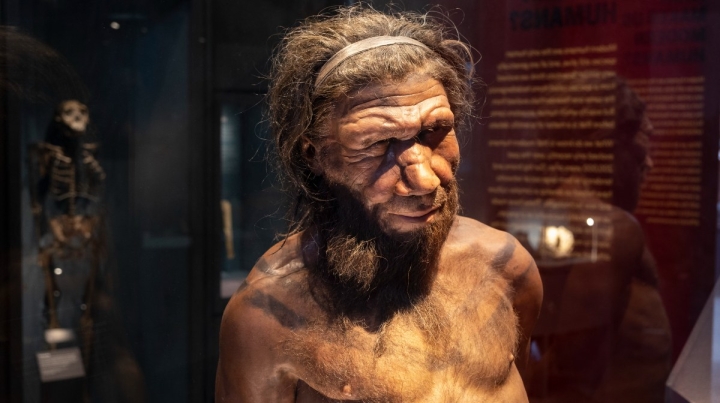 Genética neandertal: ¿Por qué algunas personas son madrugadoras?