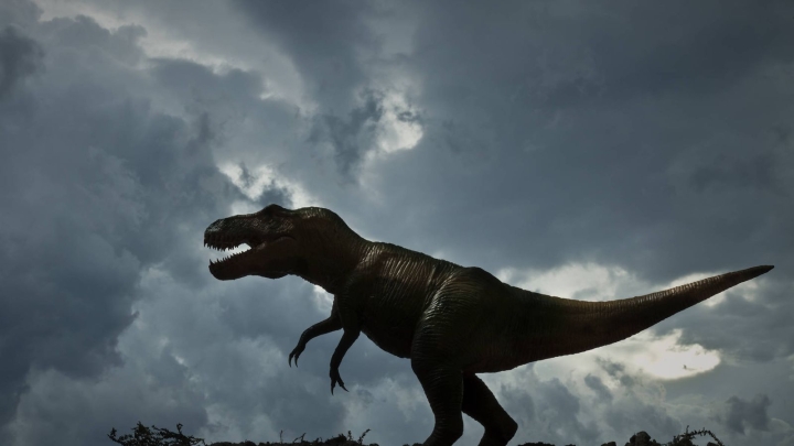 Por qué el T-rex tenía los brazos cortos: La ciencia por fin lo aclara