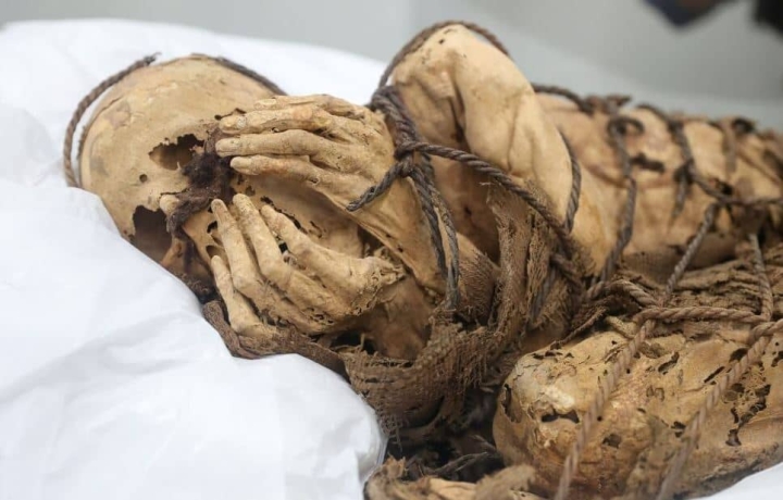 Momia peruana de hace 1,200 años llega al museo de Lima