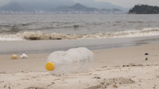 Seis playas en México superan límites de contaminación; alerta Cofepris
