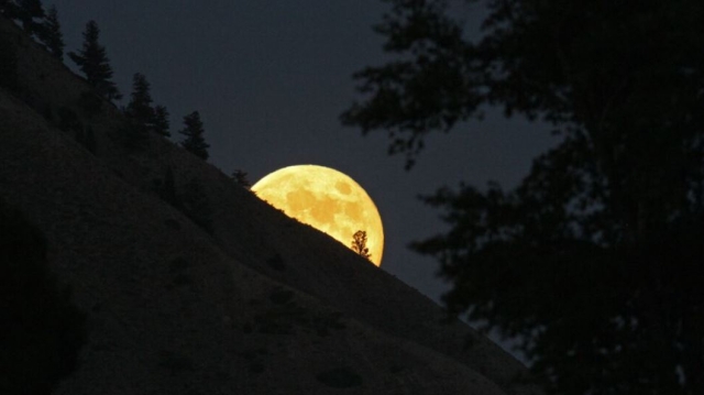 Qué es la Luna de Lobo y cuándo se verá desde México