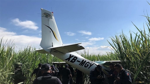 Cae avioneta en cañaverales de Ayala y se salvan los tripulantes