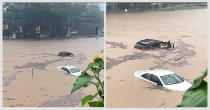 Graban heroico rescate de conductor y perro durante inundaciones en Connecticut