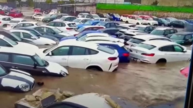 Se inunda lote de de autos de lujo tras fuertes lluvias.