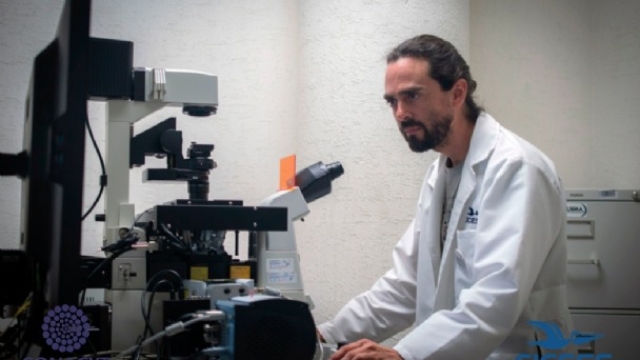 Distinguen a investigadores del Instituto de Biotecnología de la UNAM