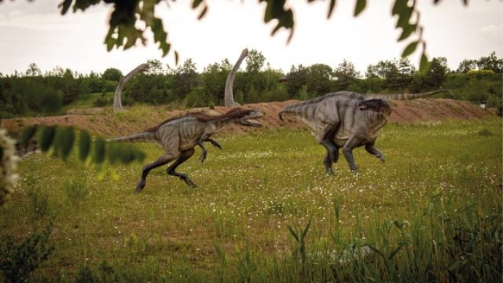 Los dinosaurios no eran tan listos como se creía, señala estudio